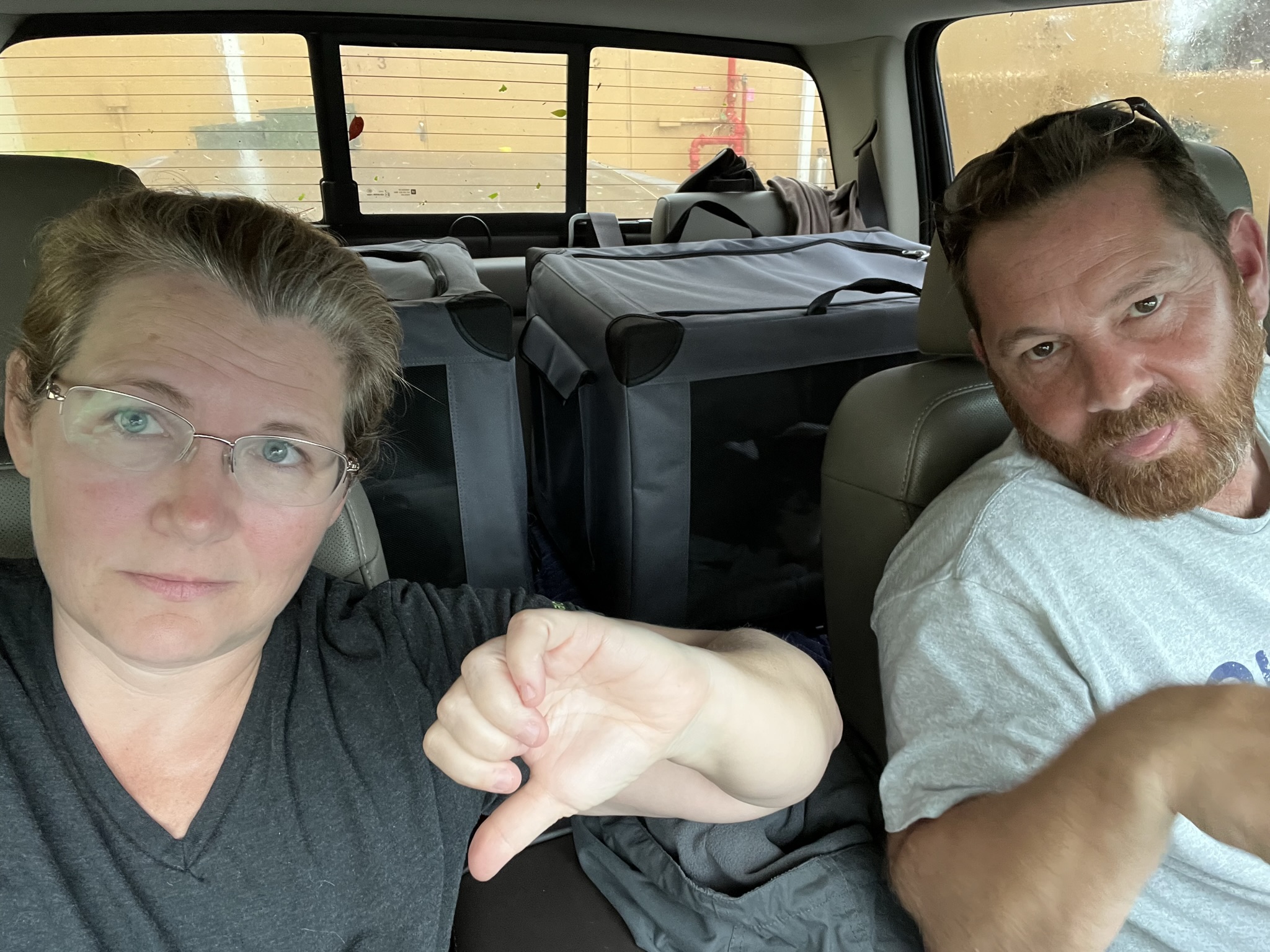 Riding Out the Storm