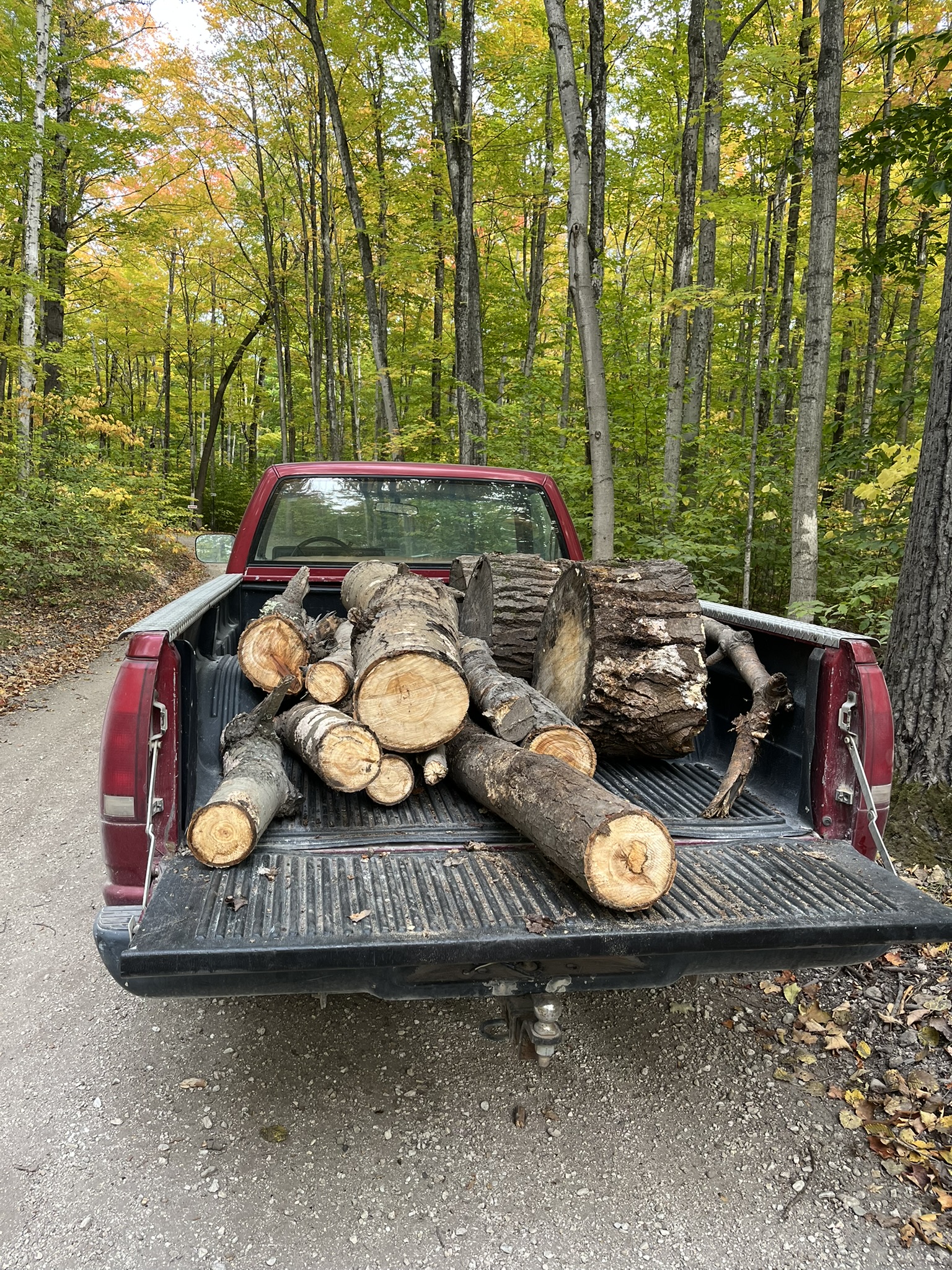 Firewood Haul