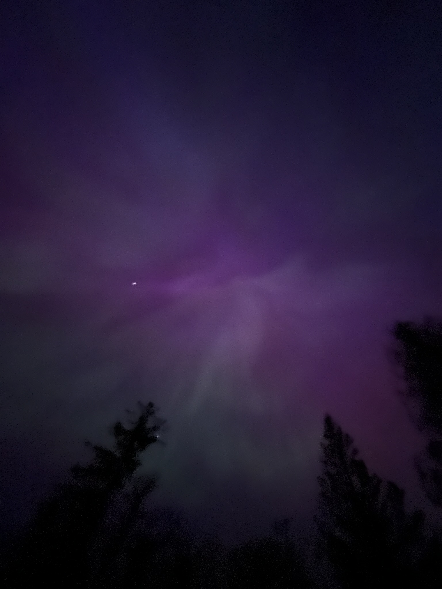 Aurora Above