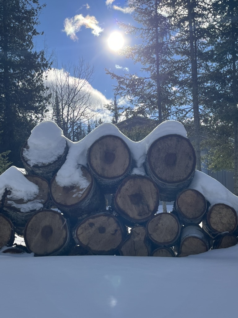 Wood Pile in Snow