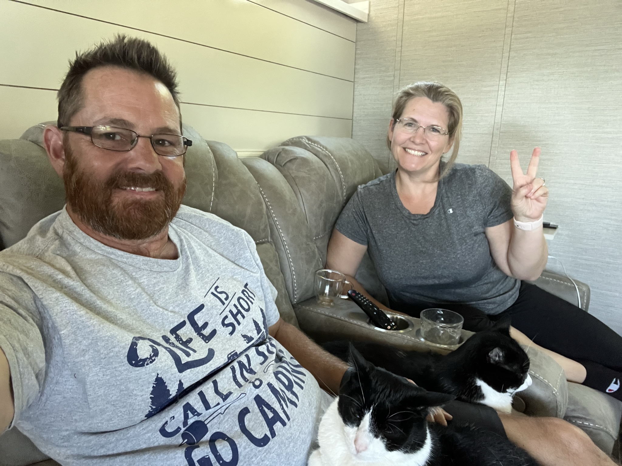 Kitties and Peace Signs