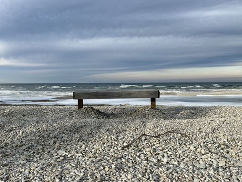 Bench Without a Backrest