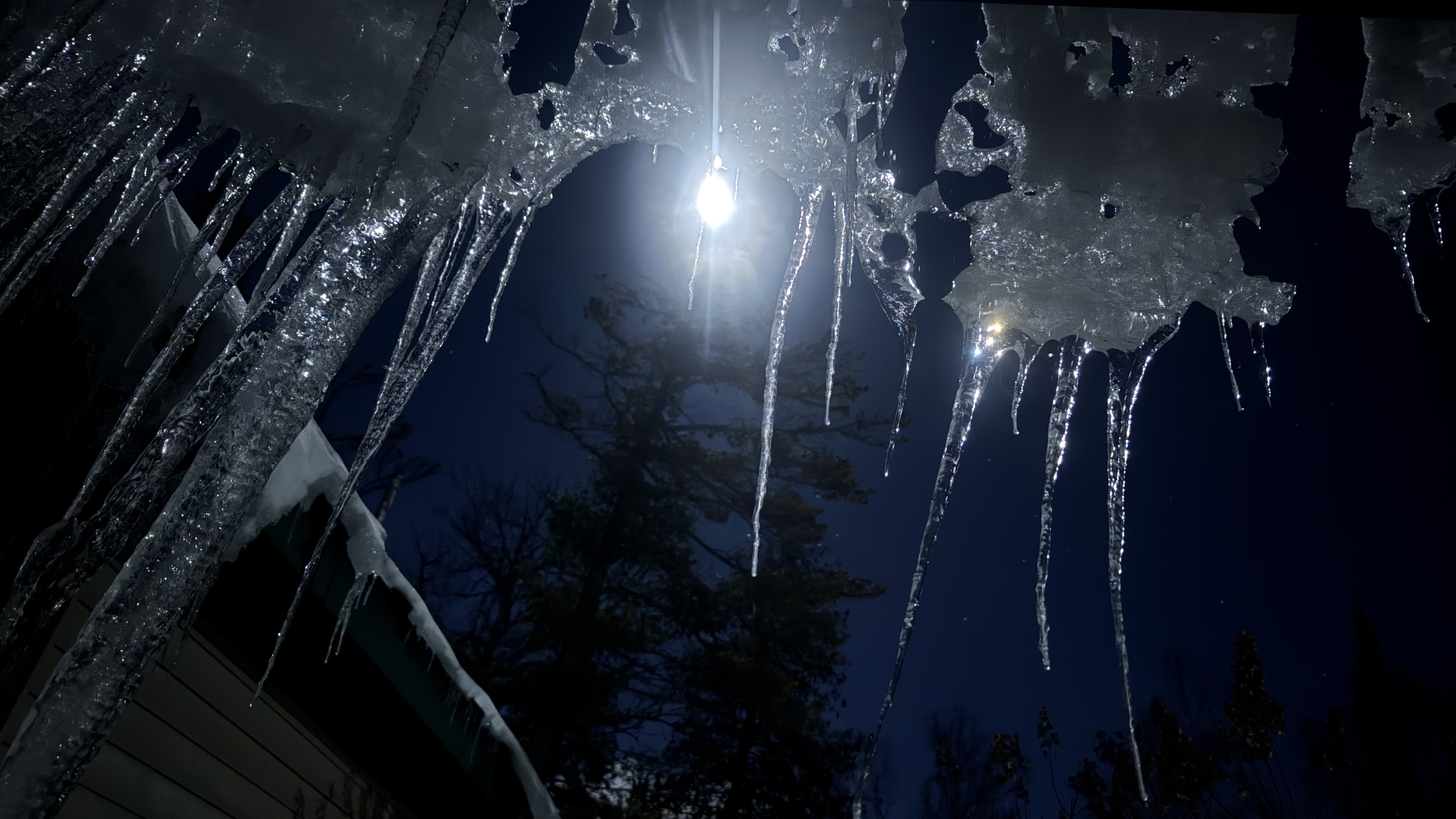 Icicles in the Moonlight