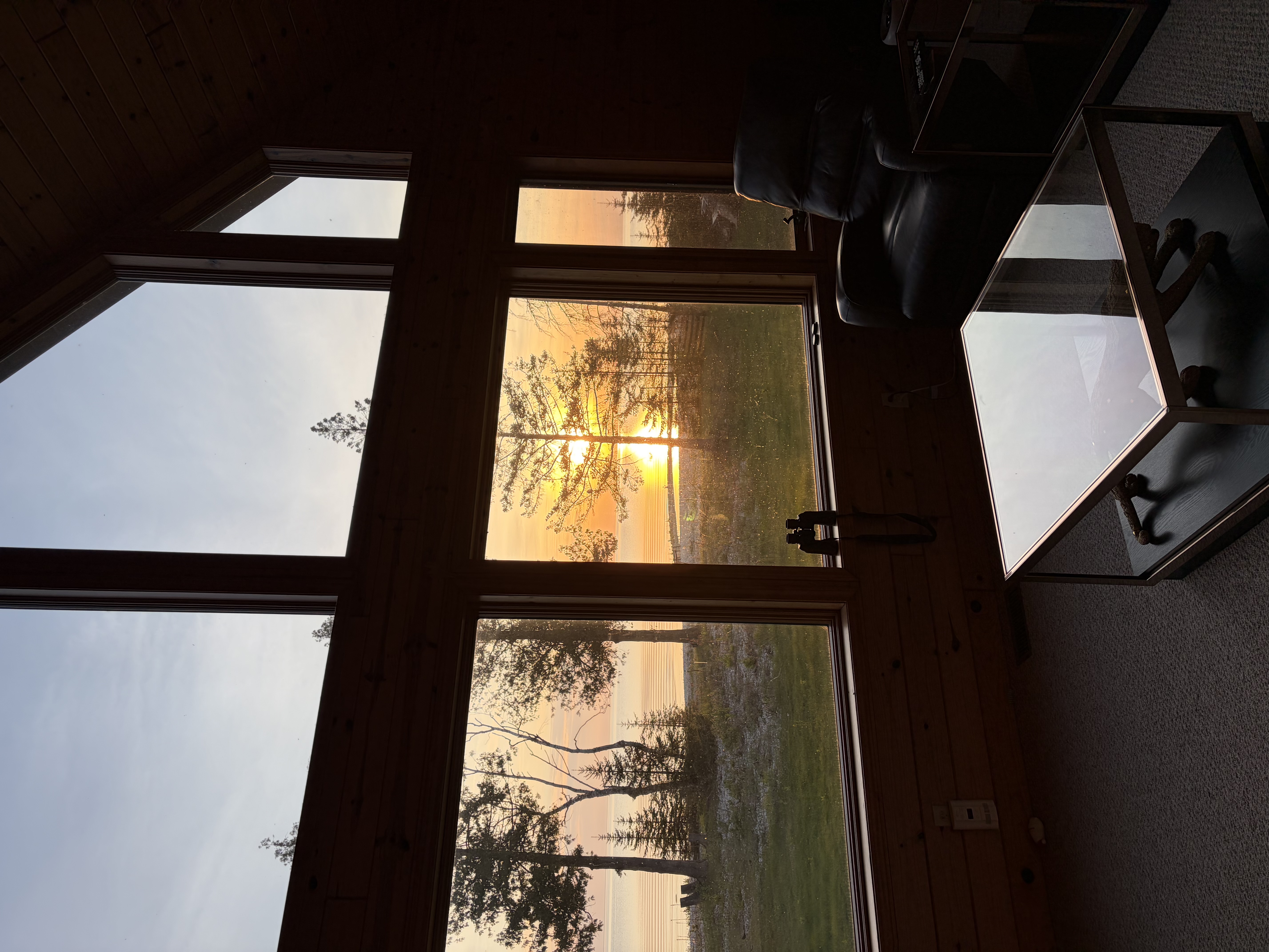 Morning Light